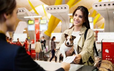Consejos para viajar con mascotas en el avión